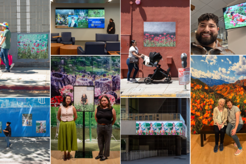 Collage of photos and artwork from the Dr. Martin Luther King, Jr. Library at SJSU.