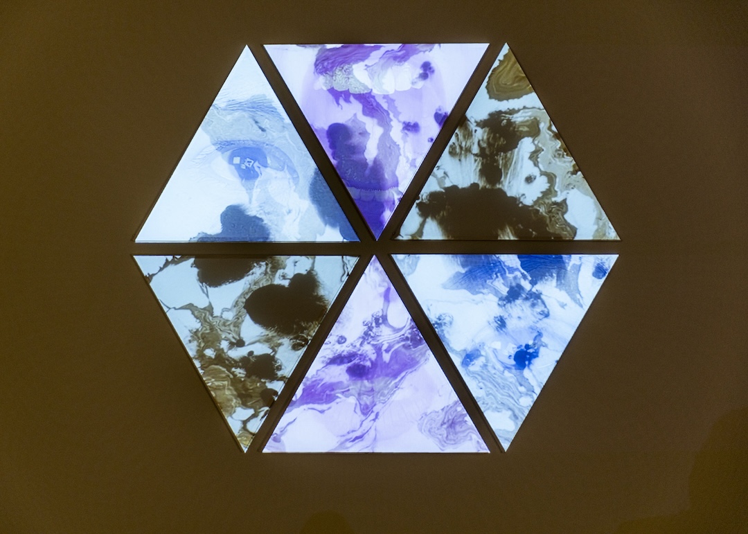 Linh My Truong, Body Talk, 2024, Cotton, wood, felt, and electronics Linh My Truong, Body Talk, 2024, Cotton, wood, felt, and electronics